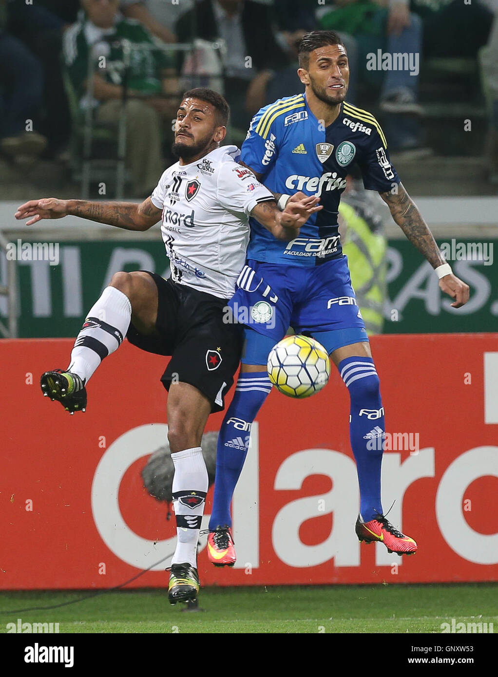 SÃO PAULO, SP - 31.08.2016: PALMEIRAS X BOTAFOGO DA PARAÍBA - Il giocatore Rafael Marques, da SE Palmeiras, sfera controversia con il giocatore David Luiz, Botafogo FC durante una partita valida per il 8th di finale della Coppa del Brasile, l'Allianz Arena Parco. (Foto: Cesar Greco/Fotoarena) Foto Stock