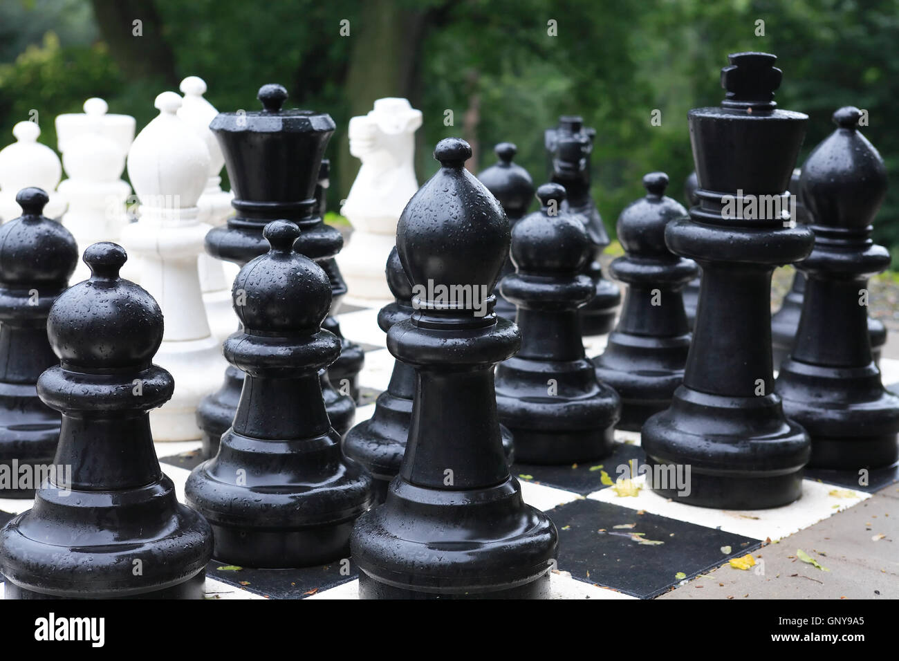 A scacchi dopo la pioggia Foto Stock
