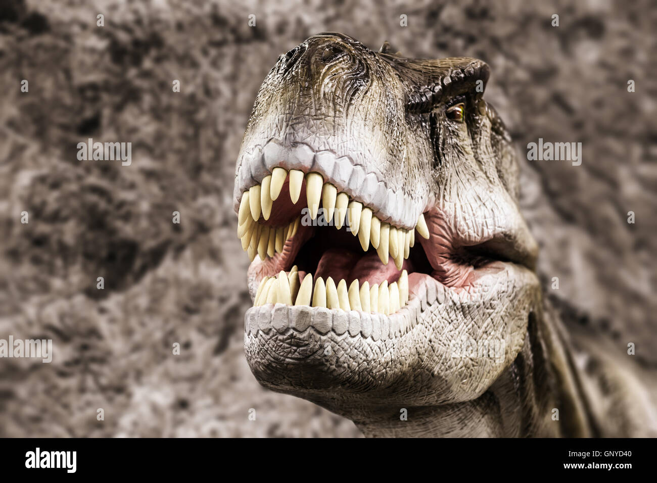 Tirannosauro che mostra la sua bocca toothy Foto Stock