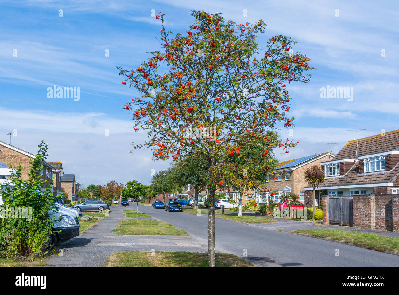 Strada residenziale in estate in Inghilterra, Regno Unito. Foto Stock
