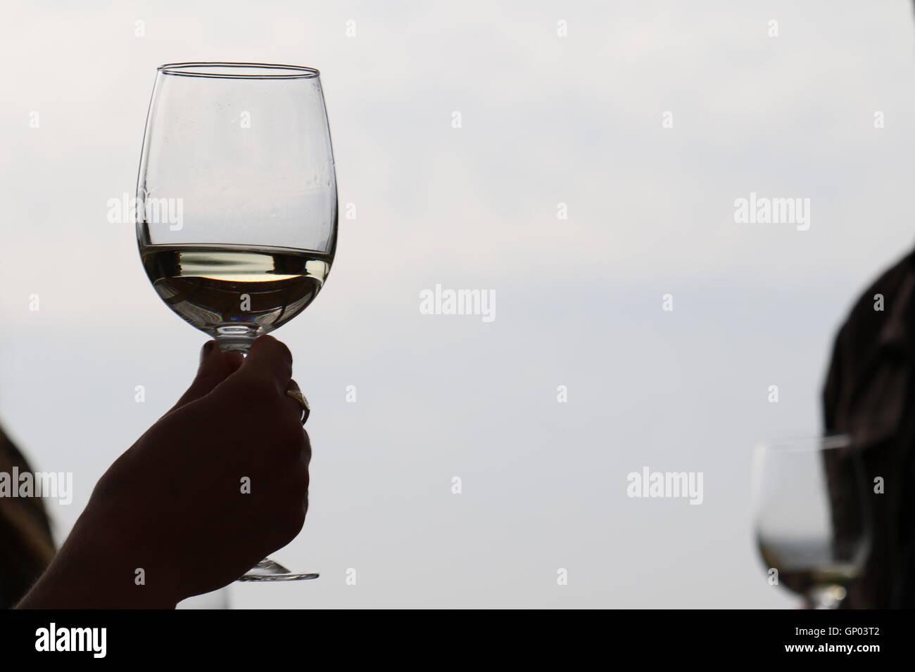 Una mano che tiene un bicchiere di vino bianco a Kingston vigneti, Valle di Casablanca, Valparaiso, Cile Foto Stock