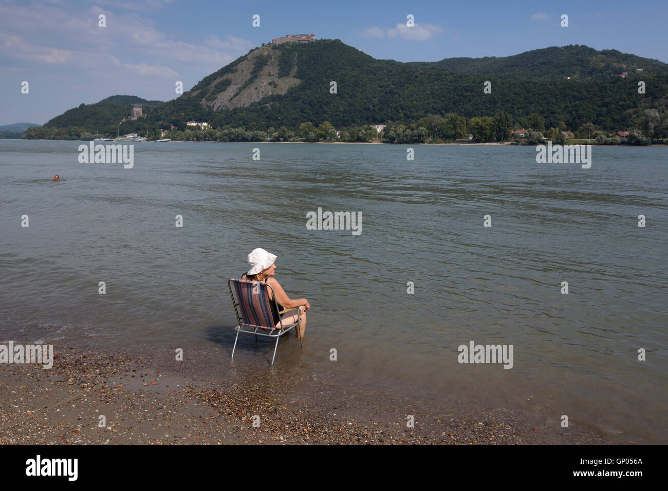 Nagymaros, lucertole da mare sulla spiaggia di Nagymaros lungo il fiume Danubio con il castello di Visegrad in distanza, Pest county, Ungheria Foto Stock