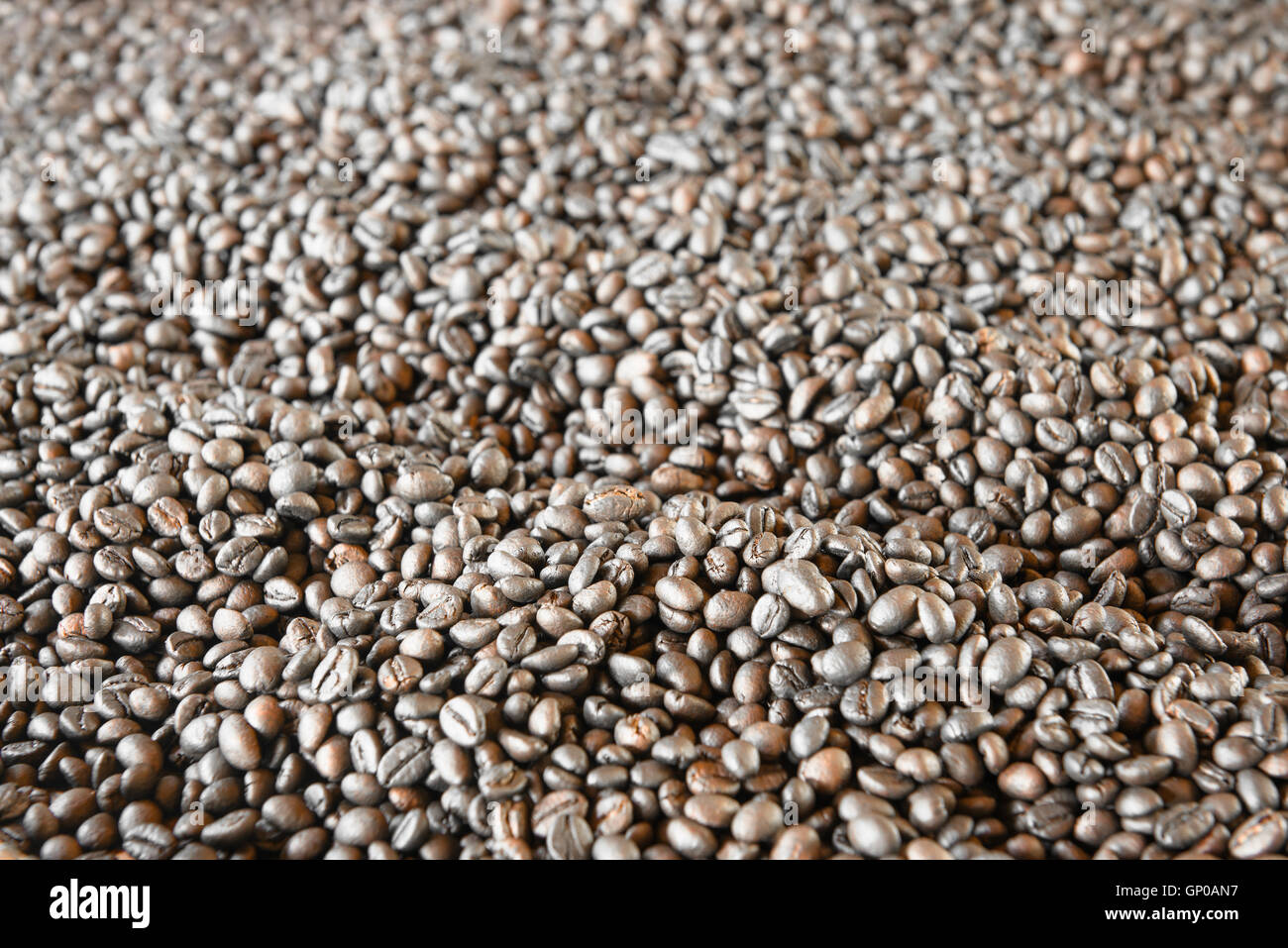 Chicchi di caffè tostati leggera profondità di campo a. Utile per lo sfondo. Foto Stock