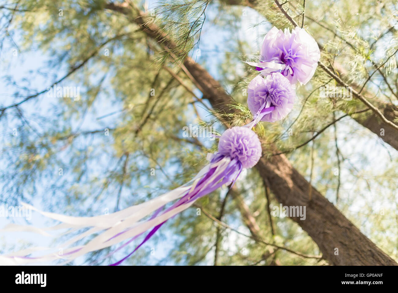 Decorazioni per matrimoni e disposizione, fiori, nastro. Il fuoco selettivo. Foto Stock