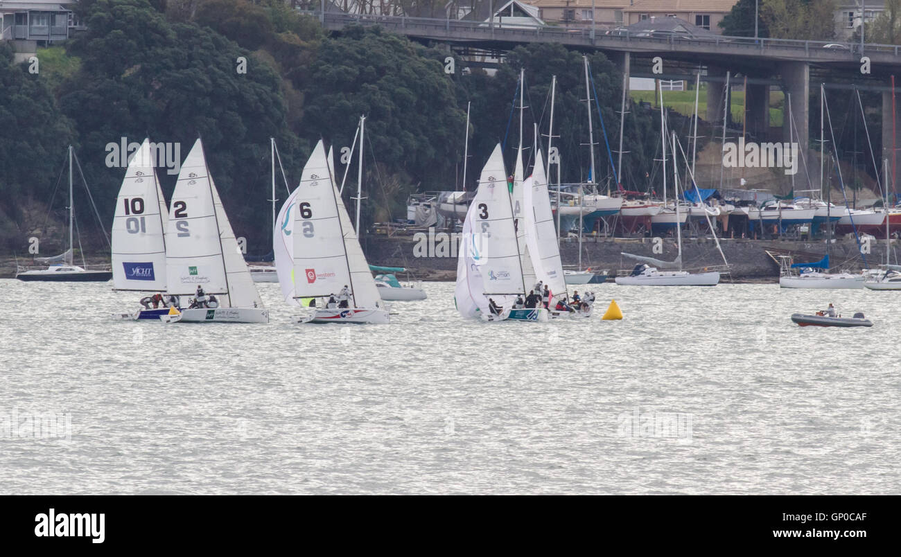 Imbarcazioni in una regata Foto Stock