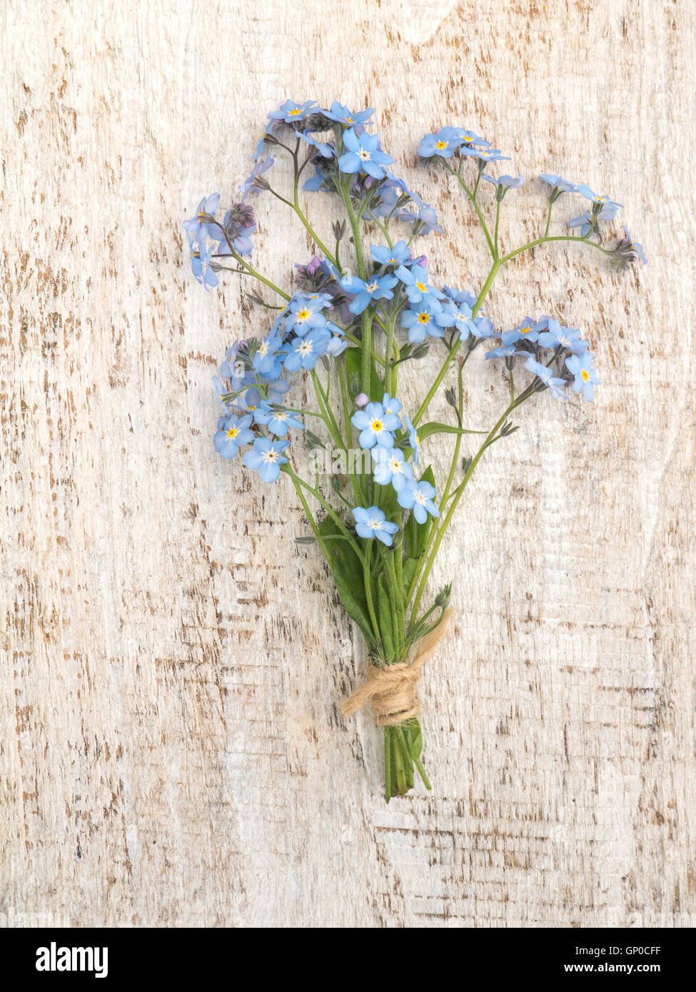 Dimenticare blu-me-non bouquet di fiori legati con corda di iuta sul rustico dipinte di bianco sullo sfondo Foto Stock