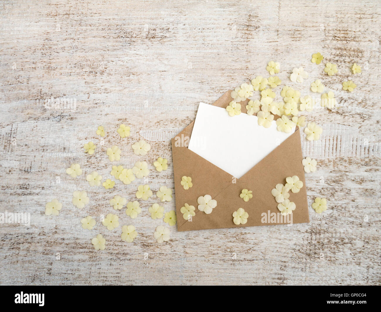 Carta Kraft busta con la scheda vuota e bianco viburnum fiori sul rustico dipinte di bianco sullo sfondo Foto Stock