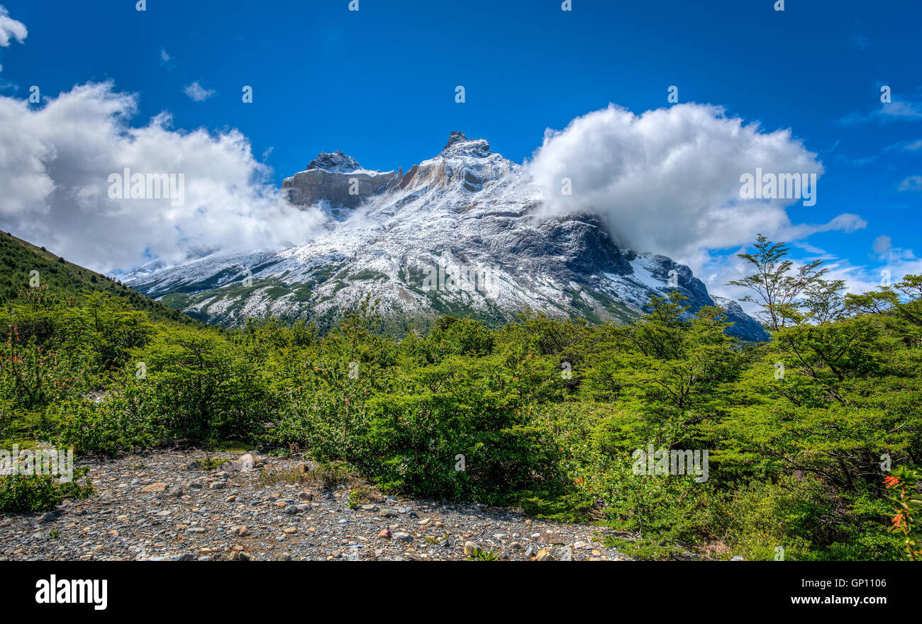 Le corna Blue Foto Stock