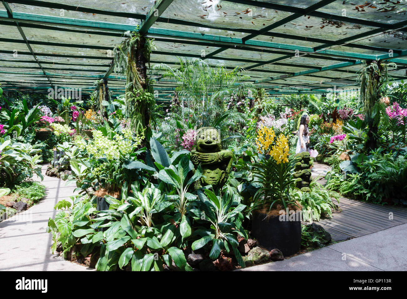 National Orchid Garden, Singapore Botanic Gardens Foto Stock