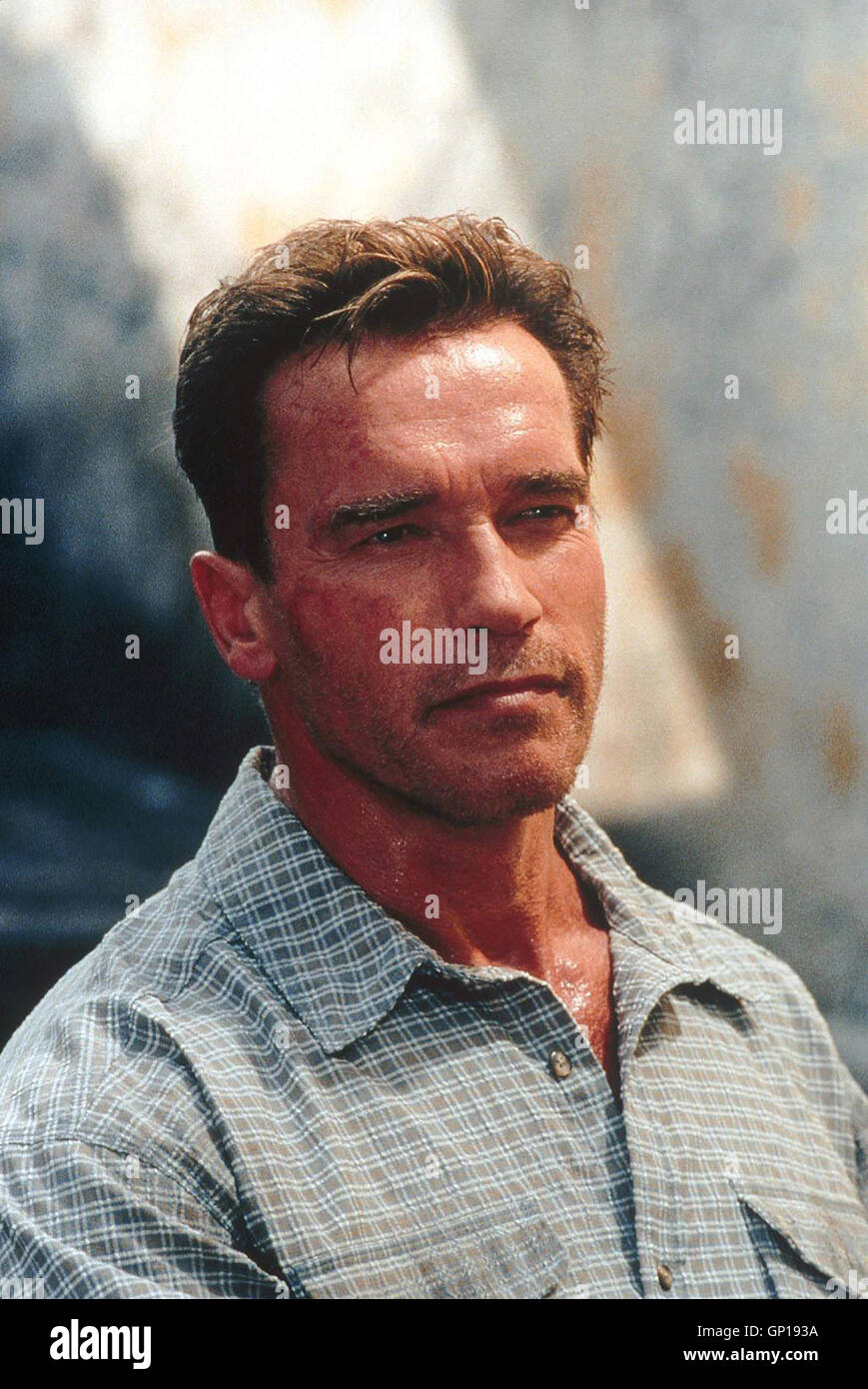 Arnold Schwarzenegger.Caption locale *** 2001, danni collaterali danni collaterali - Zeit Der Vergeltung Foto Stock