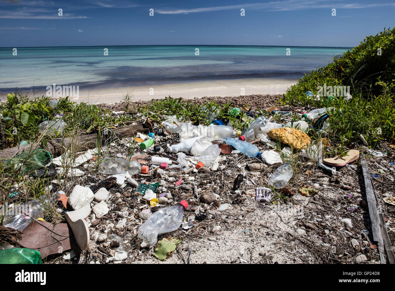 Rifiuti di plastica lavati fino a riva, Turneffe Atoll, dei Caraibi, del Belize Foto Stock