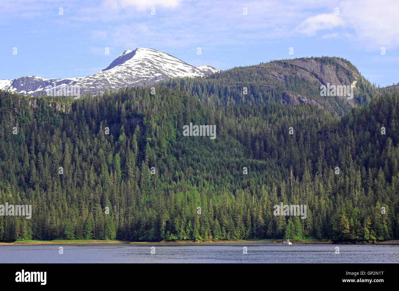 Paesaggio della foresta di abete rosso glaciale scogliere scolpite Snow capped mountain Misty Fjords National Monument all'interno del passaggio a sud-est di Ala Foto Stock