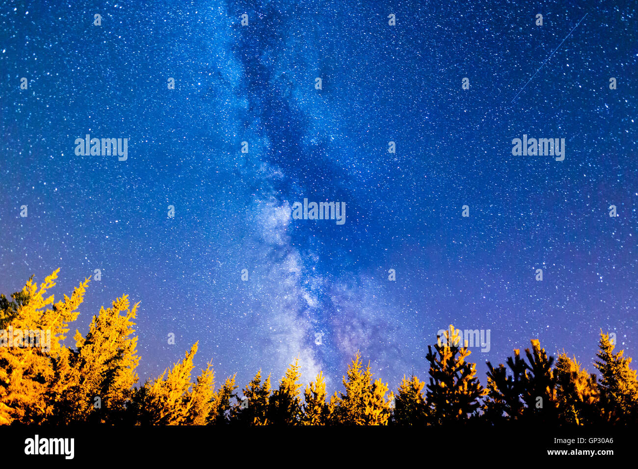 Una vista delle stelle della Via Lattea con una foresta di conifere in primo piano. Notte cielo estate montagna paesaggio. Foto Stock
