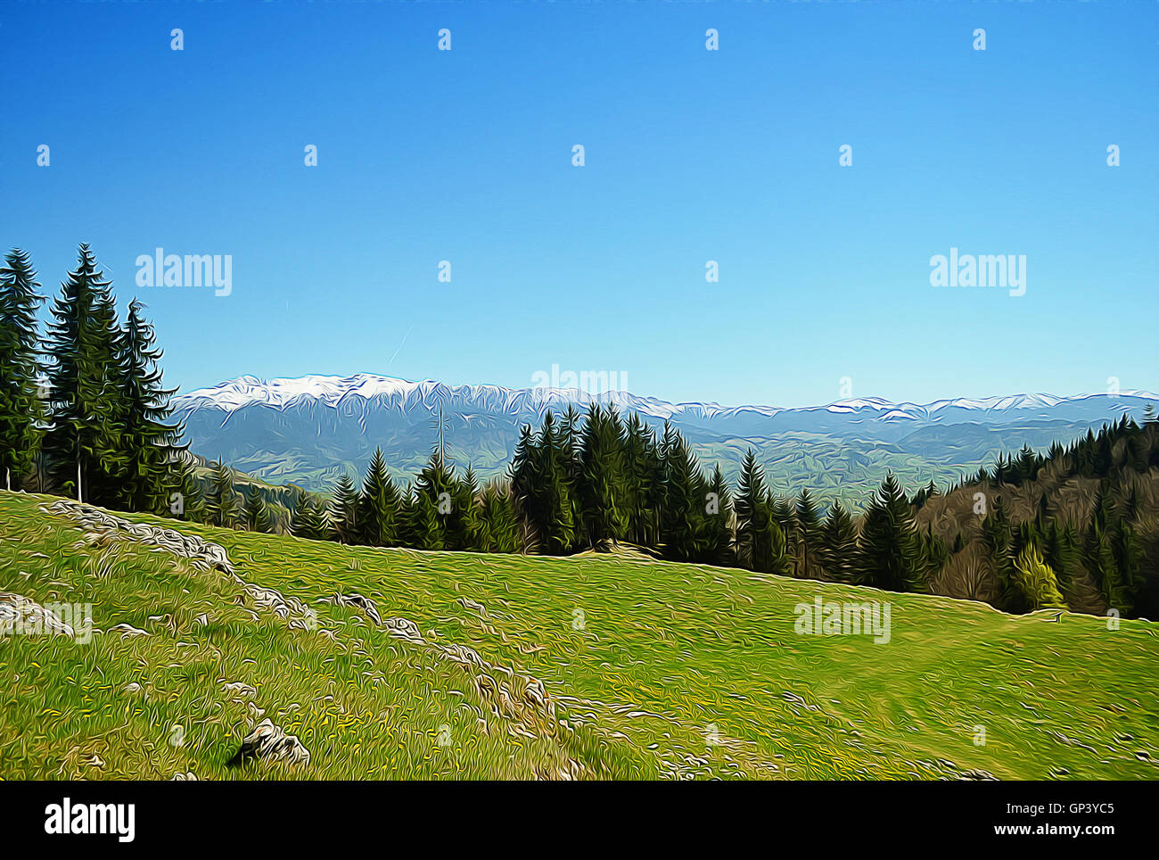 Illustrazione di spring mountain con bosco di abeti su pendio. Bellissimo paesaggio con cime bianche su lontano e un campo verde Foto Stock