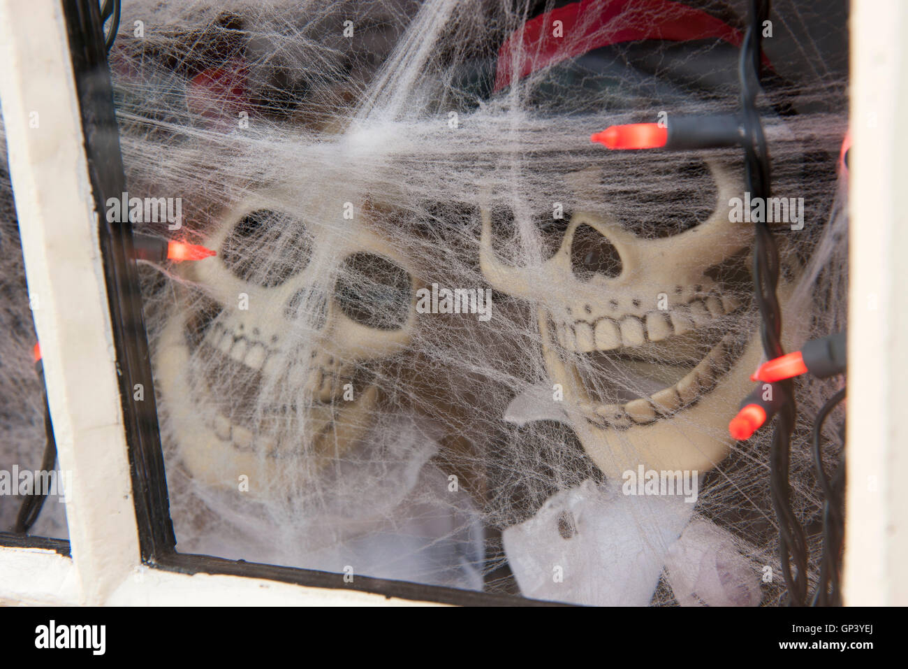 Decorativo scheletri di Halloween guardando attraverso la finestra Foto Stock