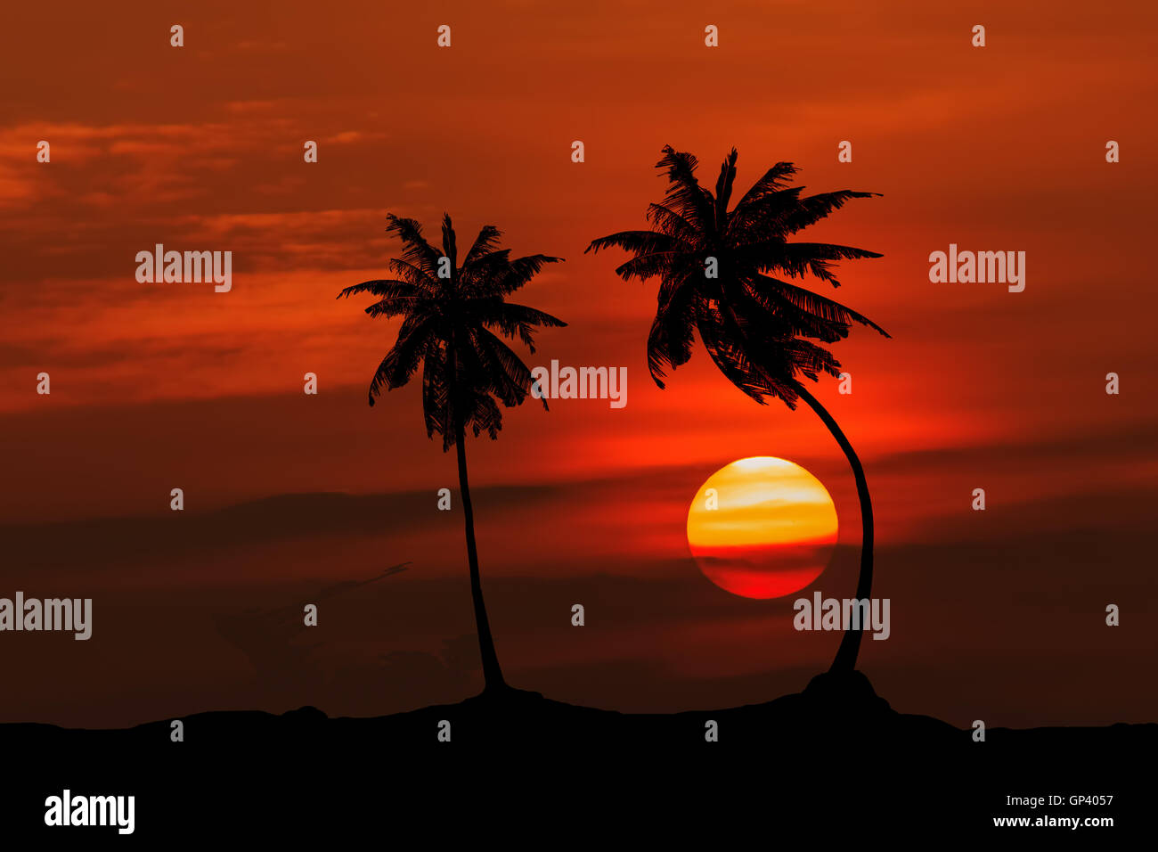 Red Sky sunrise ombra ad albero Foto Stock