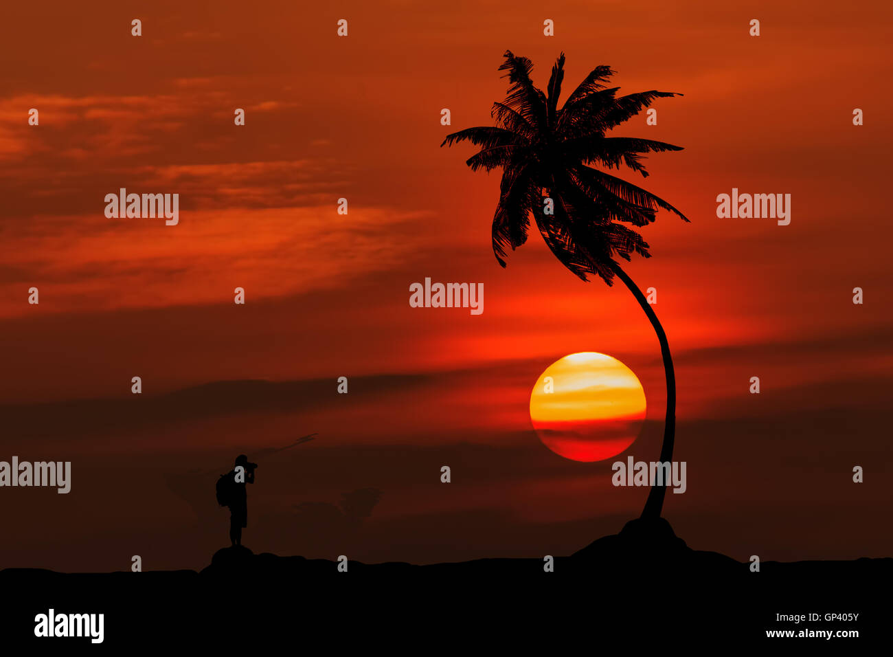 Red Sky sunrise ombra ad albero Foto Stock