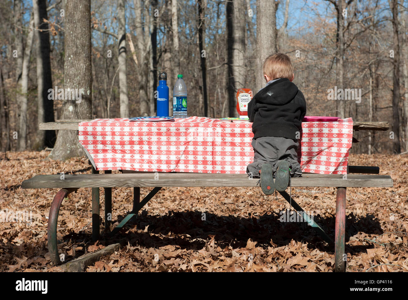 Ragazzo seduto al tavolo da picnic, vista posteriore Foto Stock