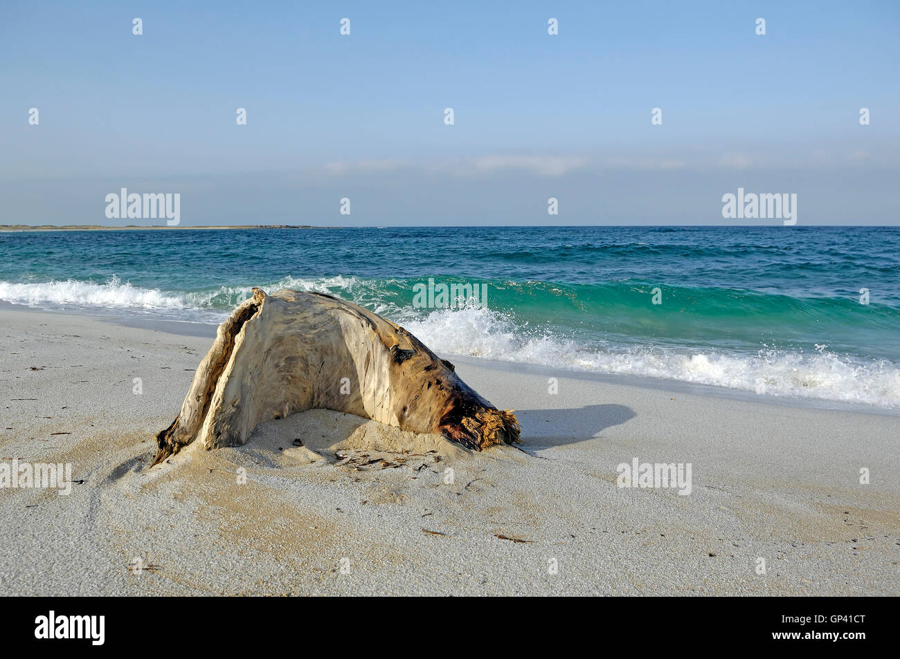Spiaggia Maimoni Penisola del Sinis Sardegna Italia Foto Stock