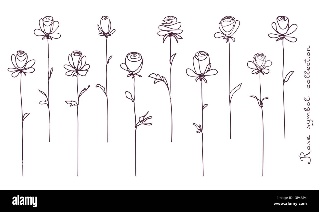 Le rose. Raccolta di isolato di fiori di rose schizzo su sfondo bianco Illustrazione Vettoriale