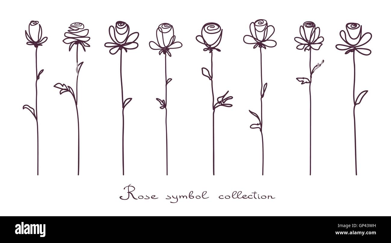 Le rose. Raccolta di isolato di fiori di rose schizzo su sfondo bianco Illustrazione Vettoriale
