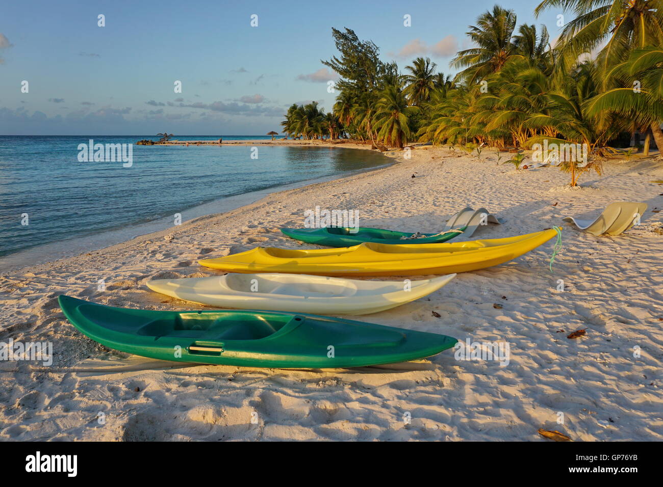 Kayak sulla sabbiosa spiaggia tropicale con palme di cocco, atollo di Tikehau, Arcipelago Tuamotu, Polinesia francese, oceano pacifico Foto Stock