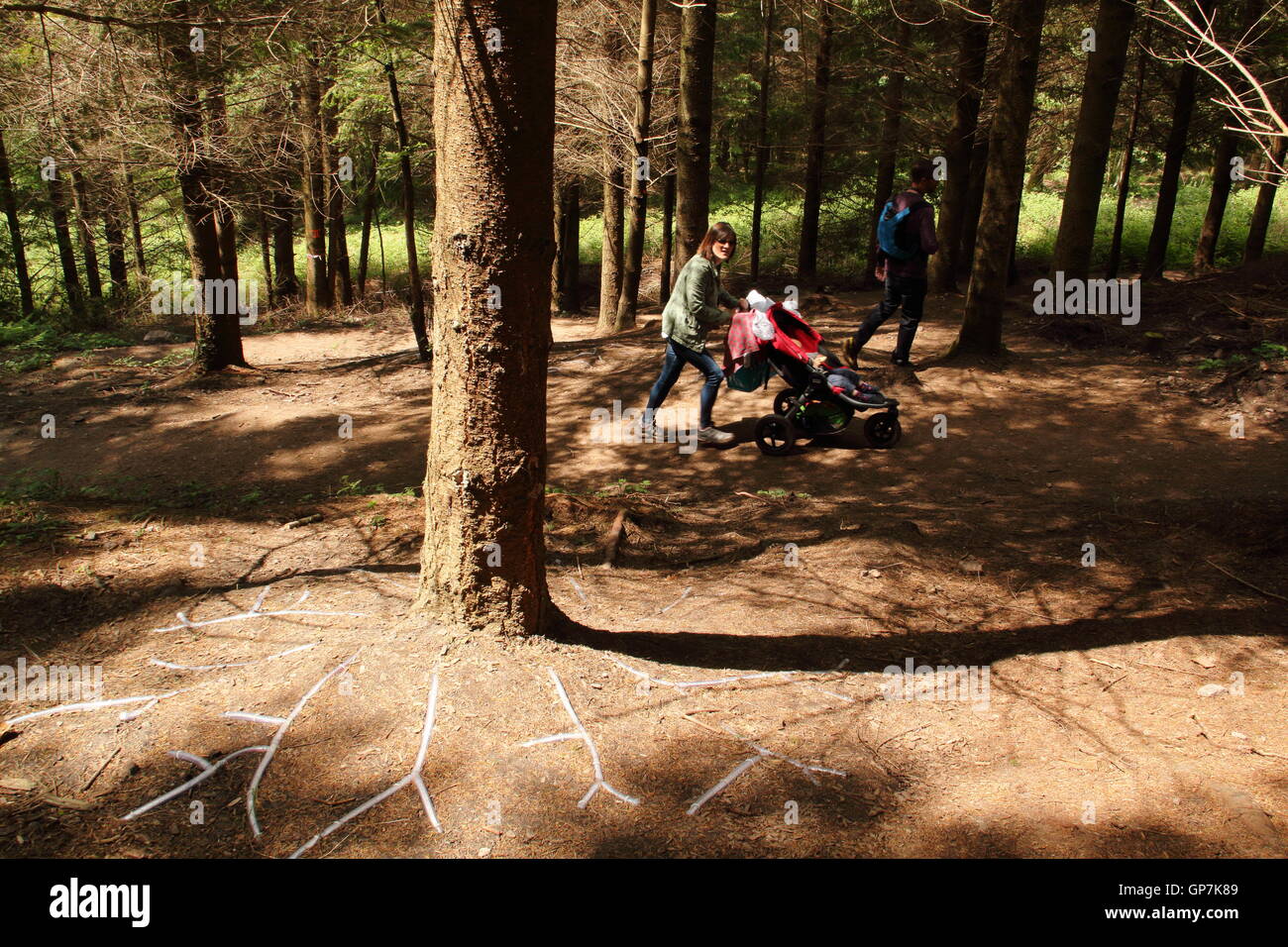 La foresta senzienti; un LED acceso installazione d arte da artista Andrea Capriolo sulla Scultpture sentiero nella Foresta di Dean, REGNO UNITO Foto Stock