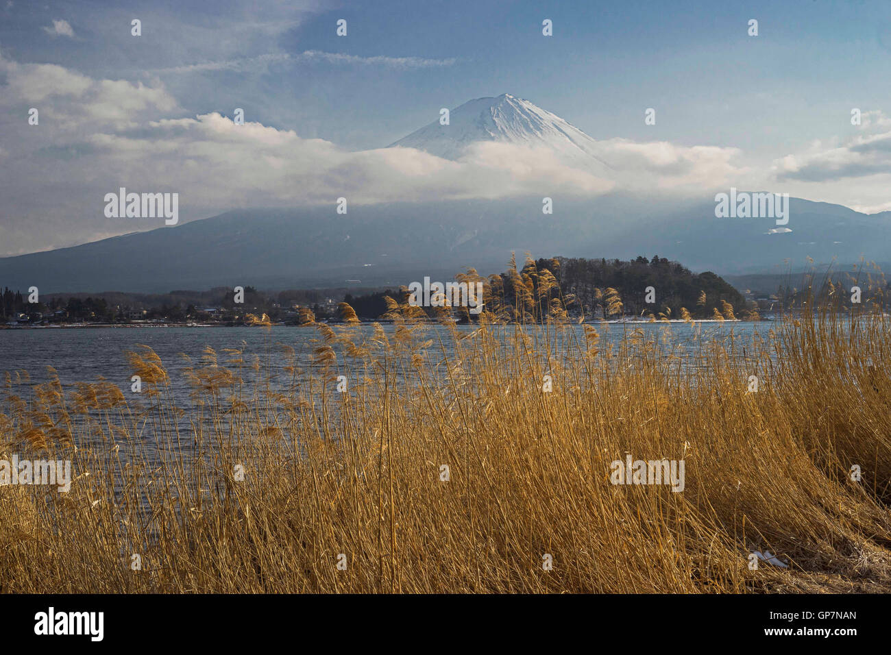Lago Kawaguchi nei pressi del monte Fuji, Giappone Foto Stock