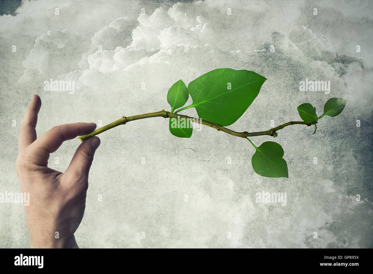 Mano umana tenendo un ramo di albero. Ambiente energia verde concetto. Foto Stock