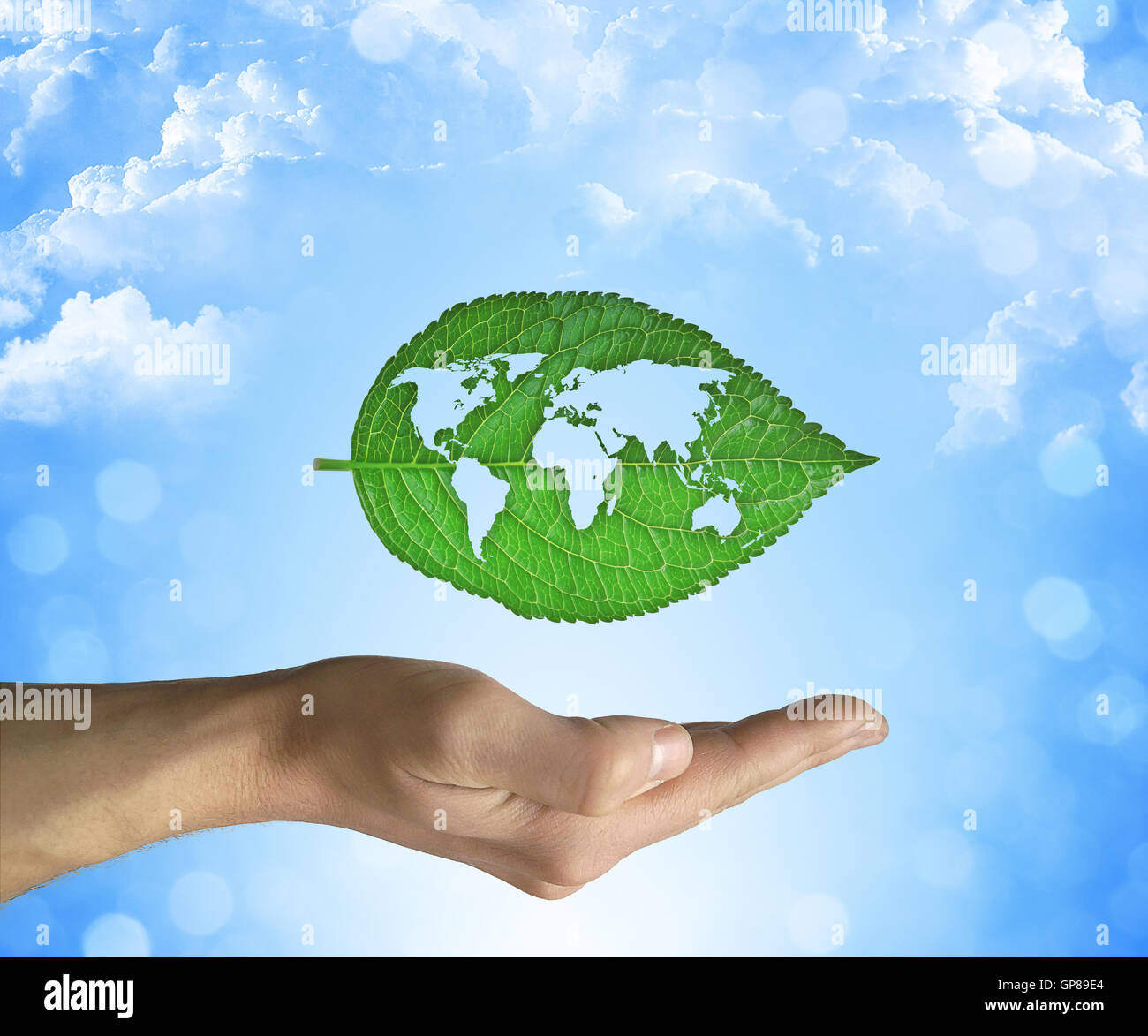 Aperto mano che regge una foglia verde con mappa del mondo interno su un cielo blu sullo sfondo. Eco mondiale concept Foto Stock