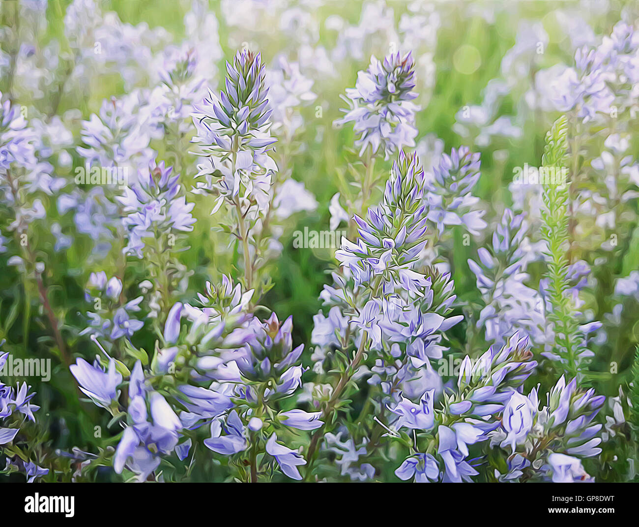 Illustrazione della molla di fiori selvatici prato. Composizione della natura. Foto Stock