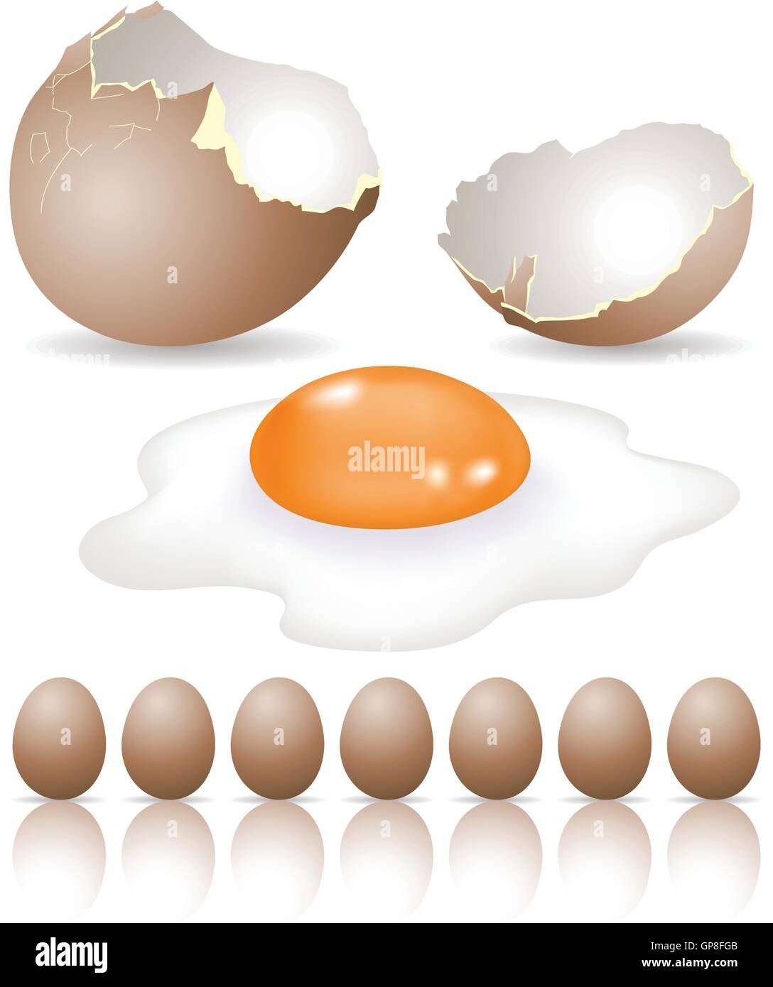 Partite di uova per colazione isolato su bianco Illustrazione Vettoriale