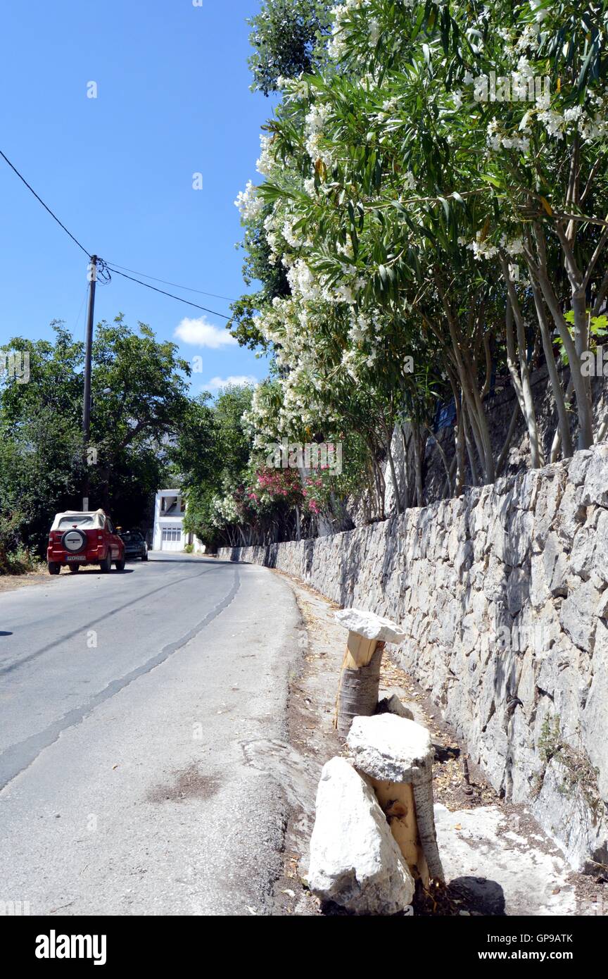 Una strada calma giù in montagne di Creta. Foto Stock