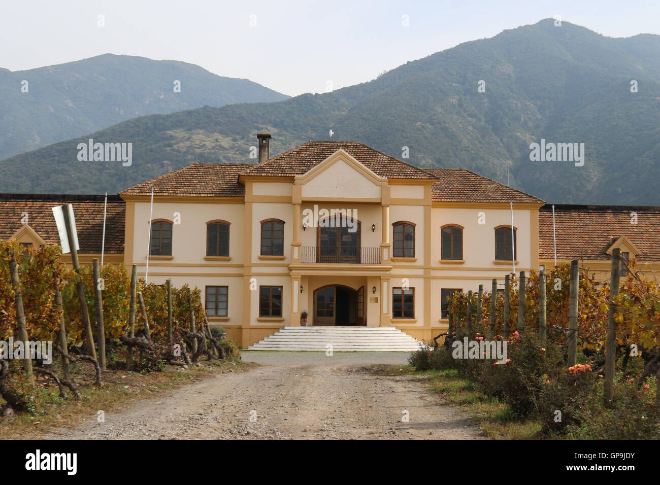 Vigneto mansion a Koyle vigneti familiari, Los Lingues, Alto Colchagua,Cile Foto Stock