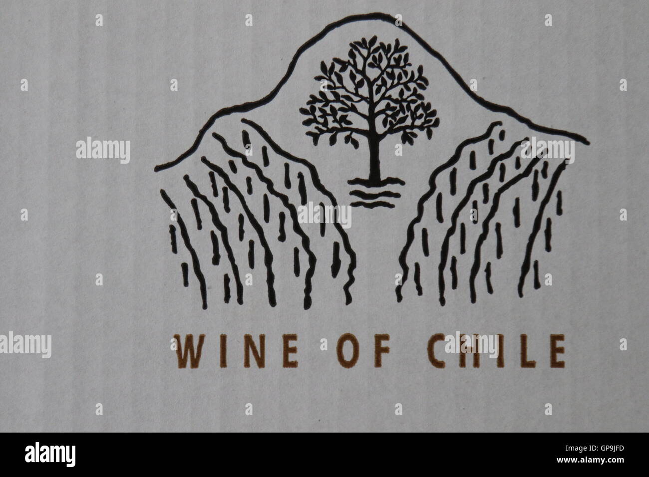 Il simbolo " Vino del Cile " Koyle vigneti familiari, Los Lingues, Alto Colchagua,Cile Foto Stock