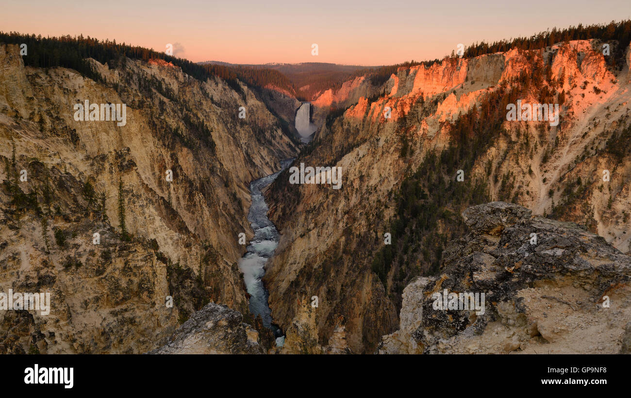 Prima la luce del mattino presso le Cascate Inferiori Yellowstone River, il Grand Canyon di Yellowstone National Park. Cielo chiaro mattina Foto Stock