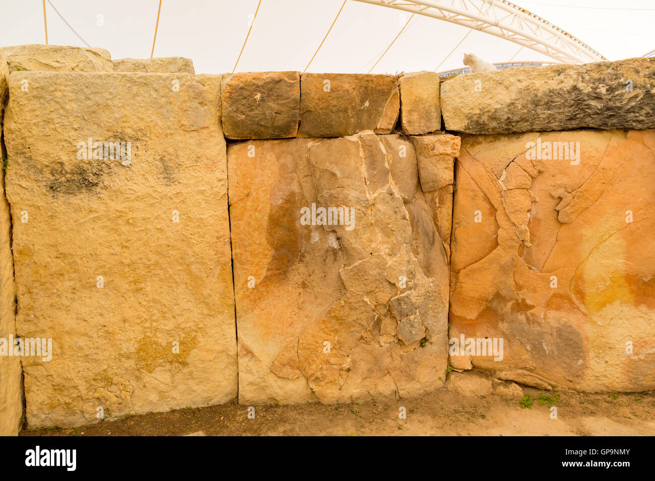 Tempio di Tarxien e museo, Malta Foto Stock