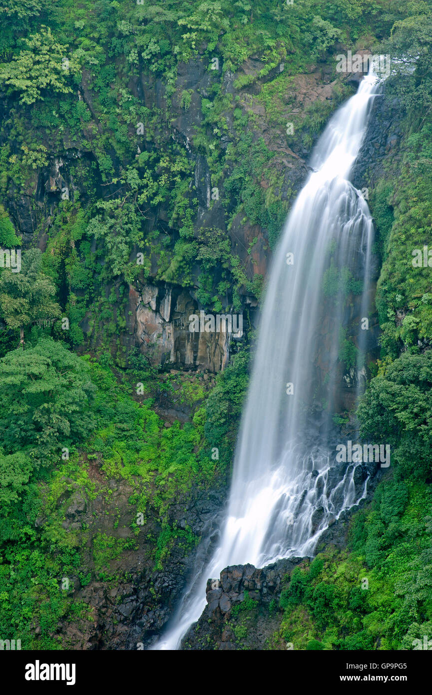 L'immagine della cascata Thoseghar in Satara, Maharashtra, i Ghati Occidentali, monsone, India Foto Stock