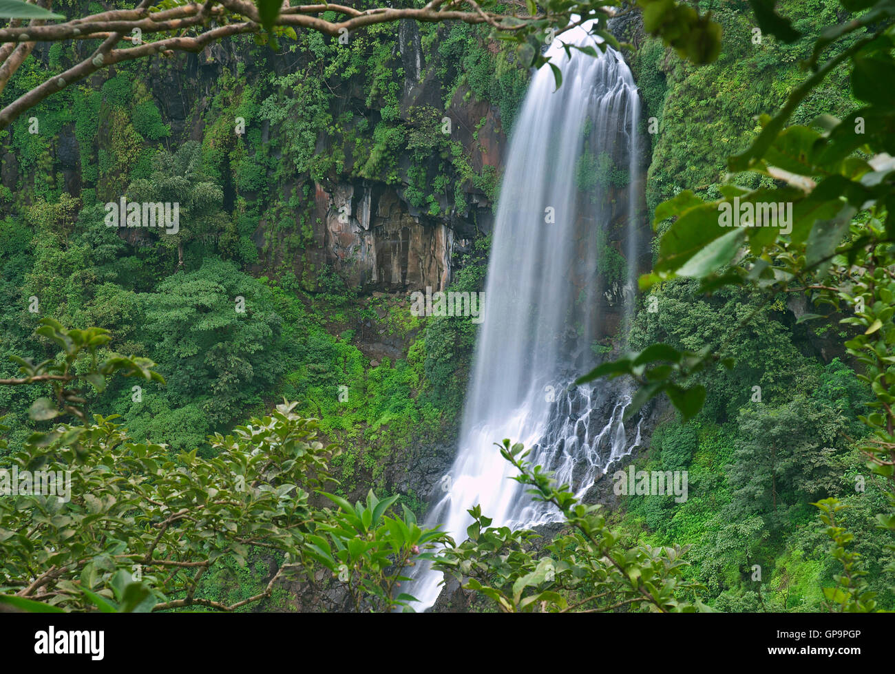 L'immagine della cascata Thoseghar in Satara, Maharashtra, i Ghati Occidentali, monsone, India Foto Stock