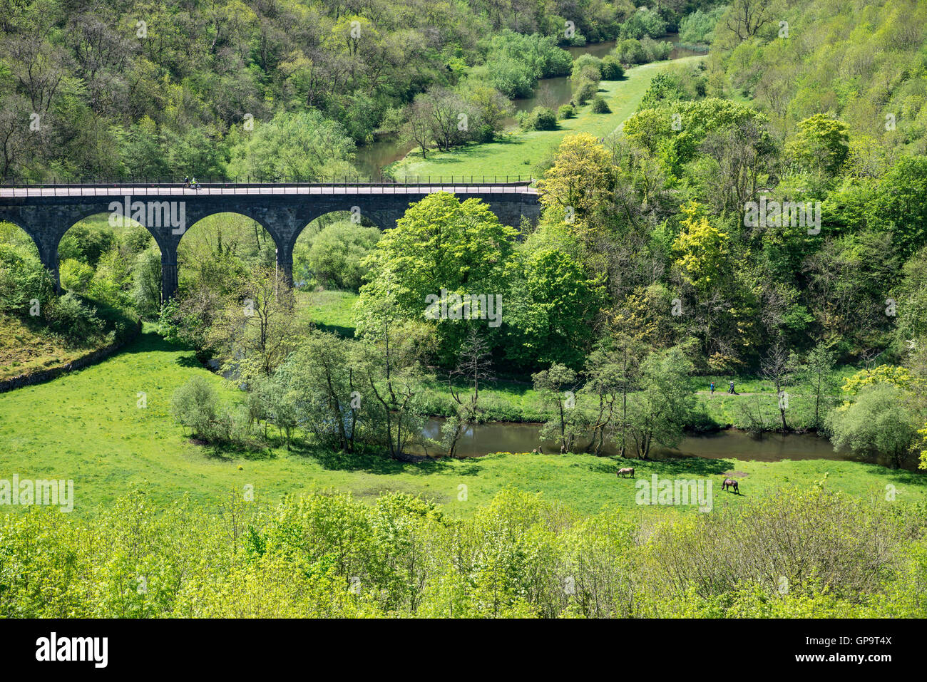 Testa Monsal viadotto, un ben noto punto di riferimento vicino a Bakewell nel parco nazionale di Peak District. Foto Stock