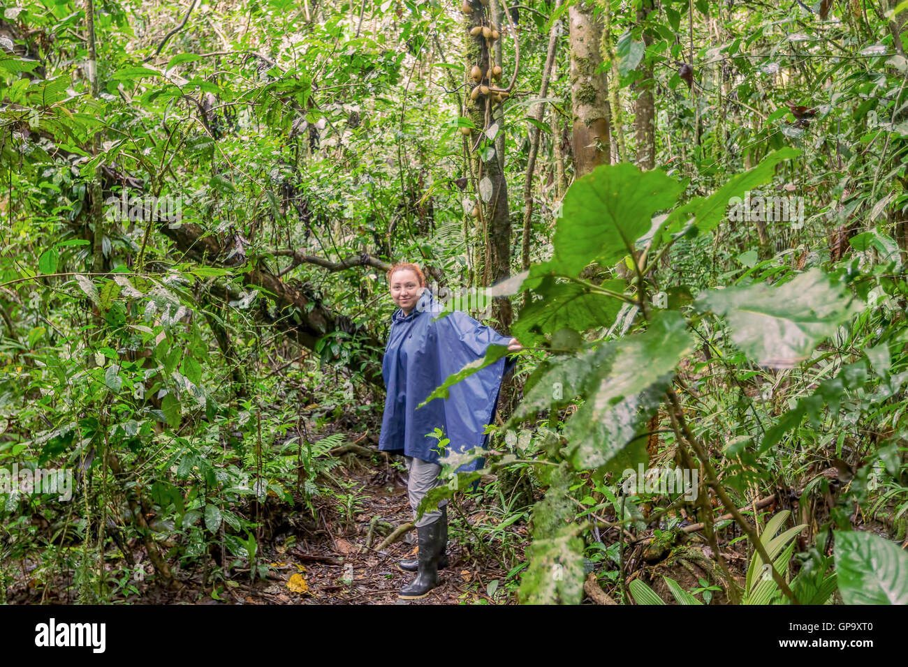 Giovane donna caucasica con cappotto di pioggia che viaggia lungo la foresta pluviale, nel profondo della giungla Cuyabeno, Sud America Foto Stock