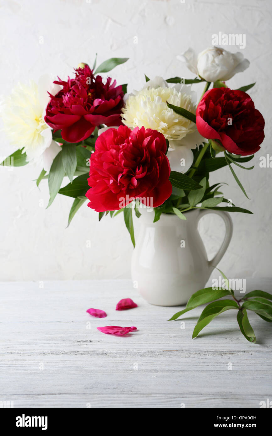 Fresche Le peonie nel vaso bianco, fiori Foto Stock