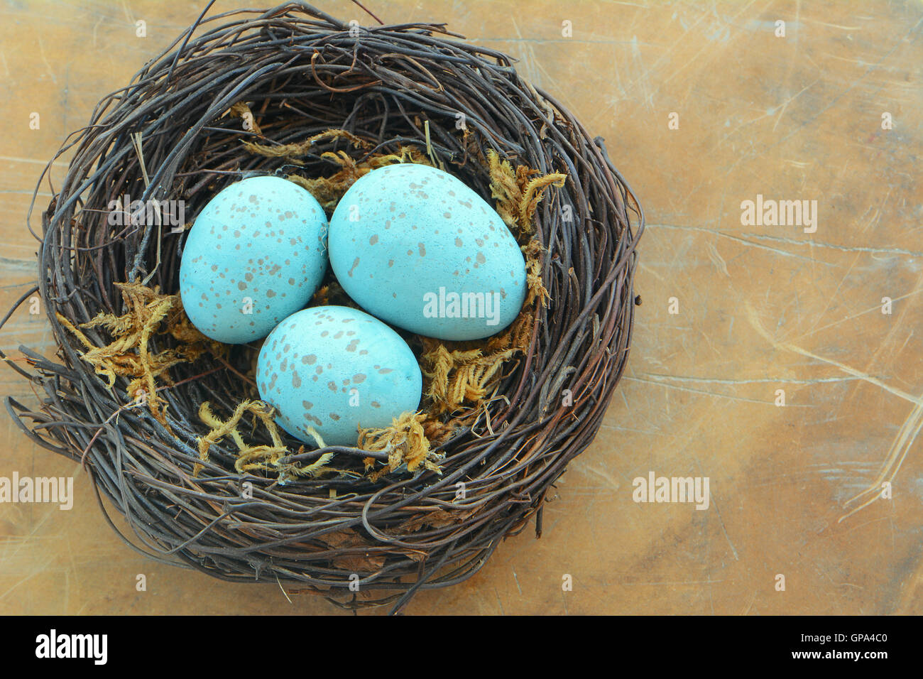 Blue screziato uova in tessuti nido di vite su sfondo rustico in formato orizzontale con spazio di copia Foto Stock