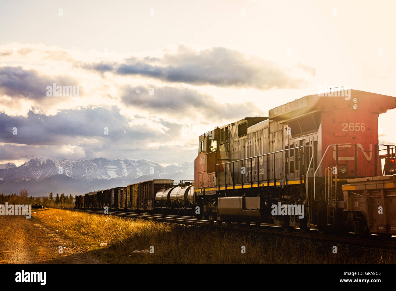 Treno che va da a Hinton, Alberta Foto Stock