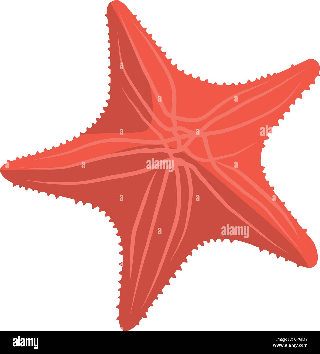 Red starfish tropical beach vacation vettore dei simboli di elemento di design Illustrazione Vettoriale