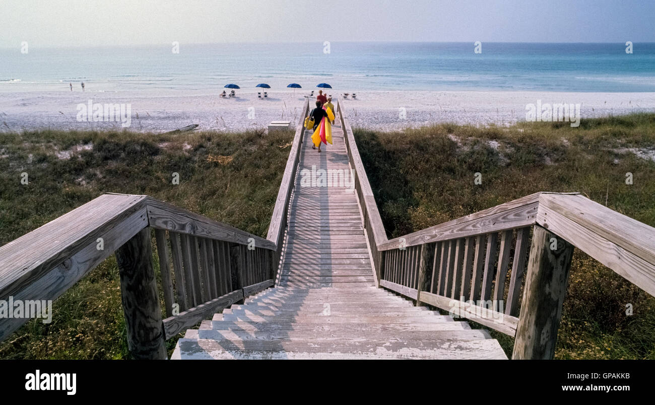 Passerelle elevate consentono di prevenire erosione spiaggia mantenendo beach frequentatori di calpestare la vegetazione e le dune di sabbia che offrono una protezione naturale per la riva del mare. Questo uomo percorso di legno protegge il litorale fornendo un passaggio pedonale sopra ecologicamente sensibile terreno lungo il Golfo del Messico a Venezia, Florida, Stati Uniti d'America. Foto Stock