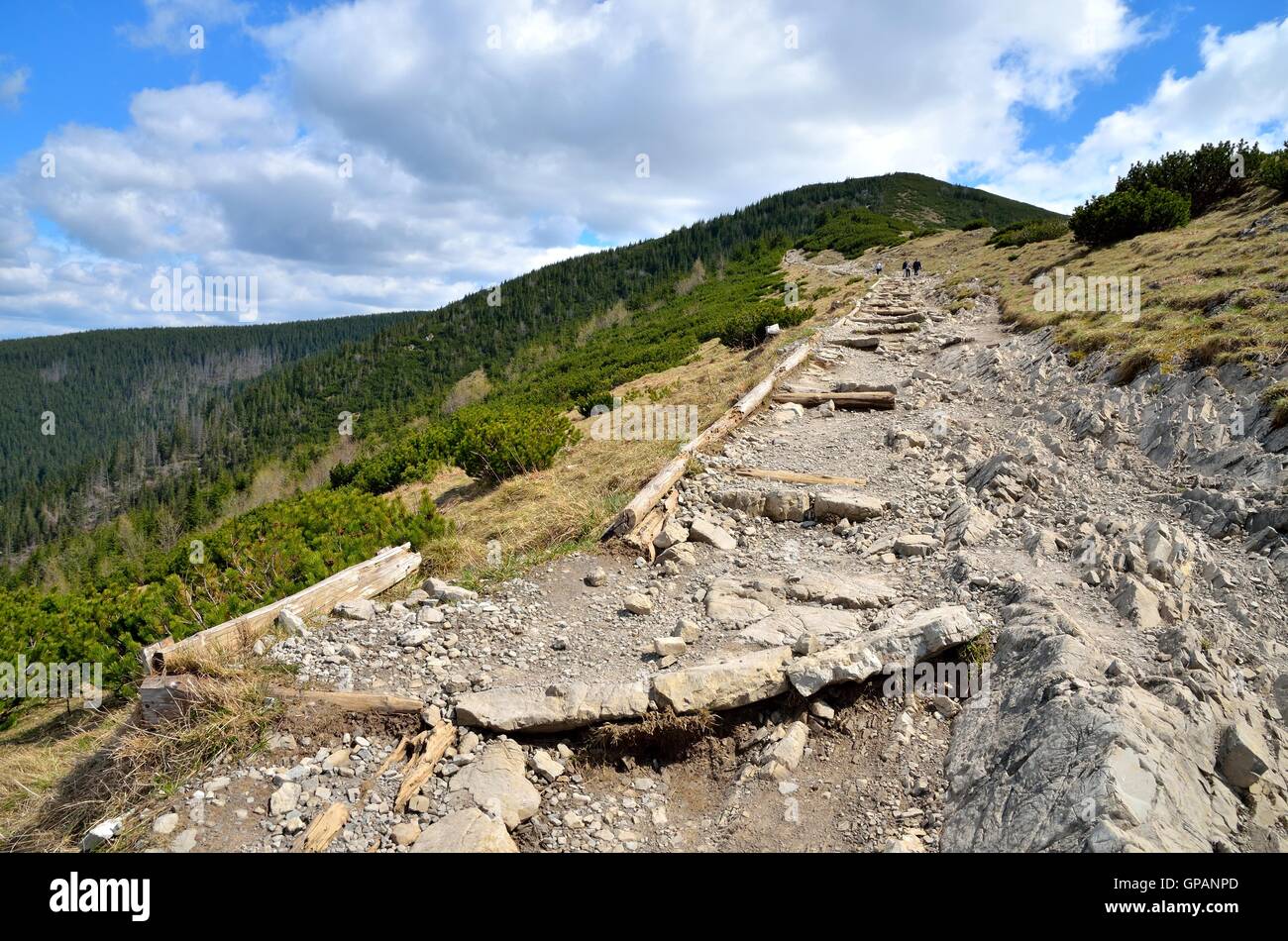Molla del paesaggio di montagna. Sentiero di montagna nei monti Tatra, Polonia. Foto Stock