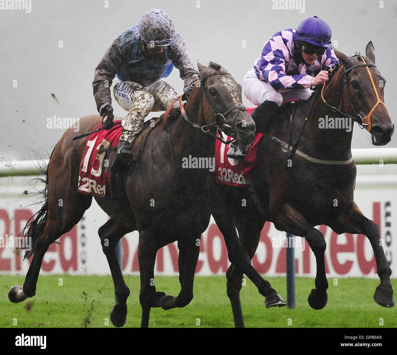 Tango intenso cavalcato da Clifford Lee (destra) battiti Montaly cavalcato da Oisin Murphy per vincere la 32 Casino Rosso Handicap a Haydock Racecouse. Stampa foto di associazione. Picture Data: Sabato 3 settembre, 2016. Vedere la storia di PA RACING Haydock. Foto di credito dovrebbe leggere: John Giles/PA FILO Foto Stock