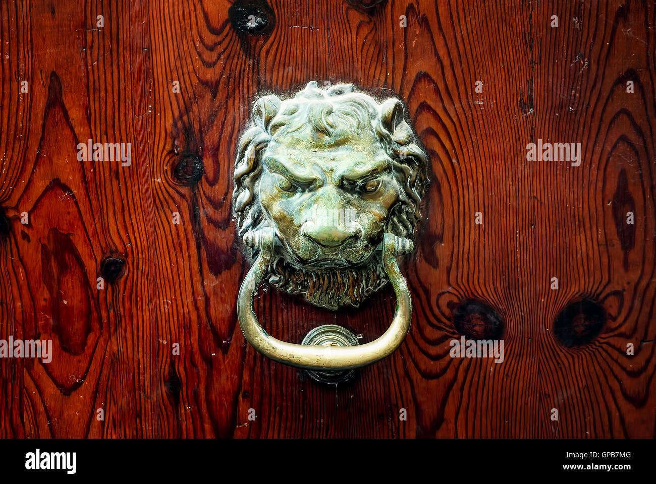 Bronzo decorativo testa leone manopola dello sportello al buio su un sfondo di legno Foto Stock