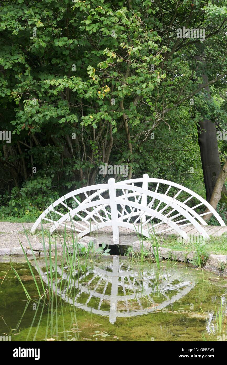 Piccolo ponte di legno in un giardino con la riflessione Foto Stock